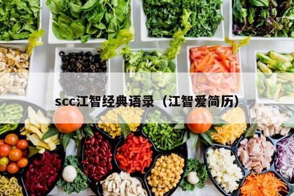 scc江智经典语录（江智爱简历） 第1张
