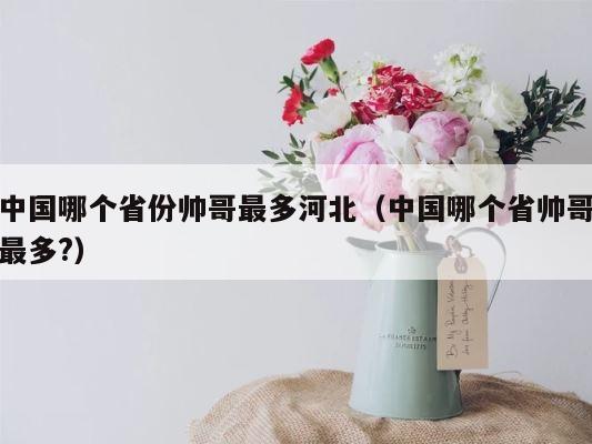 中国哪个省份帅哥最多河北（中国哪个省帅哥最多?） 第1张