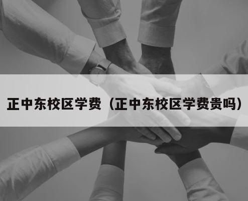 正中东校区学费（正中东校区学费贵吗） 第1张