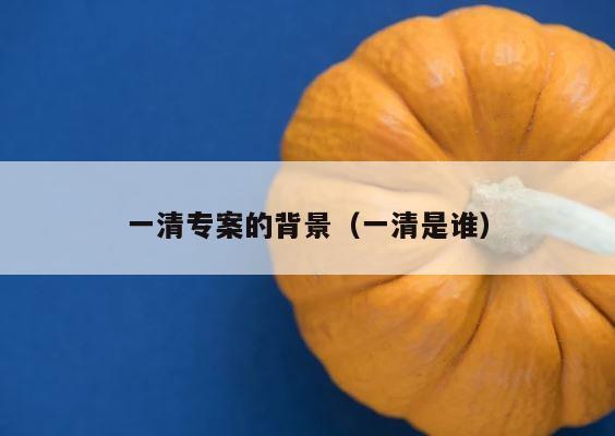 一清专案的背景（一清是谁） 第1张