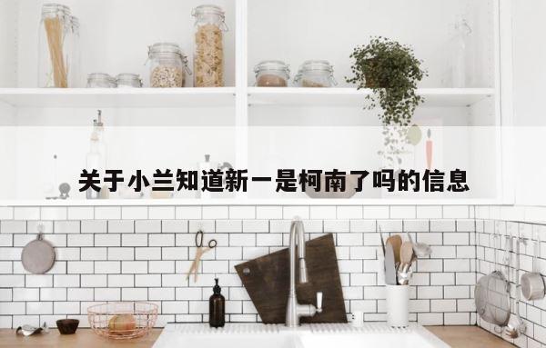 关于小兰知道新一是柯南了吗的信息 第1张