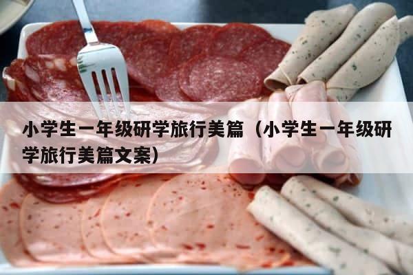 小学生一年级研学旅行美篇（小学生一年级研学旅行美篇文案） 第1张