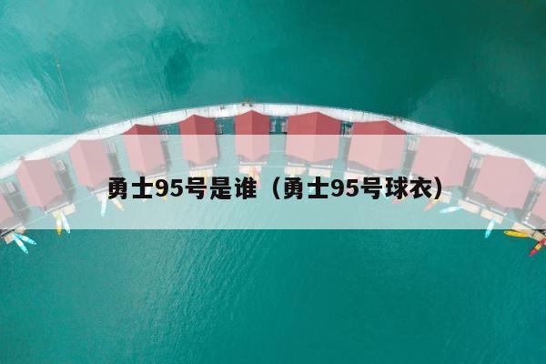 勇士95号是谁（勇士95号球衣） 第1张