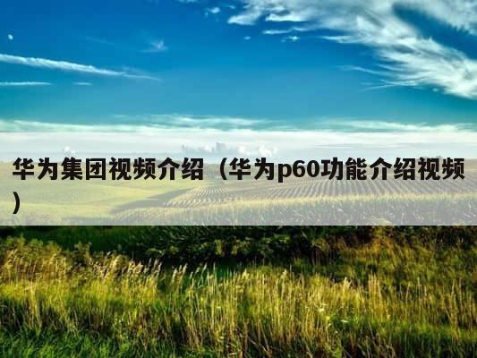 华为集团视频介绍（华为p60功能介绍视频） 第1张