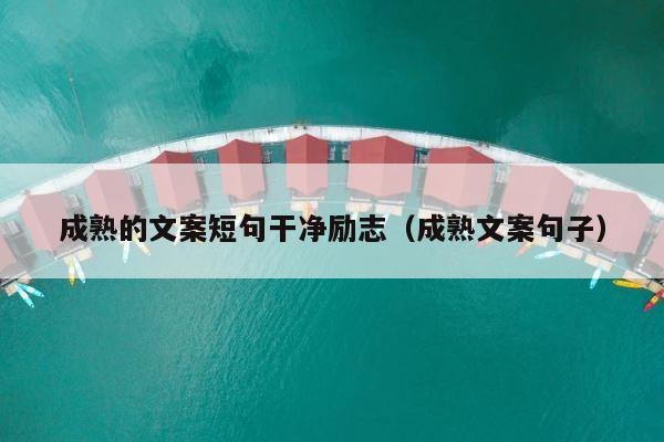 成熟的文案短句干净励志（成熟文案句子） 第1张