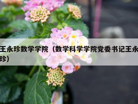 王永珍数学学院（数学科学学院党委书记王永珍） 第1张