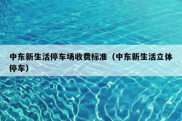 中东新生活停车场收费标准（中东新生活立体停车） 第1张
