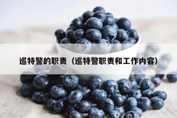巡特警的职责（巡特警职责和工作内容） 第1张