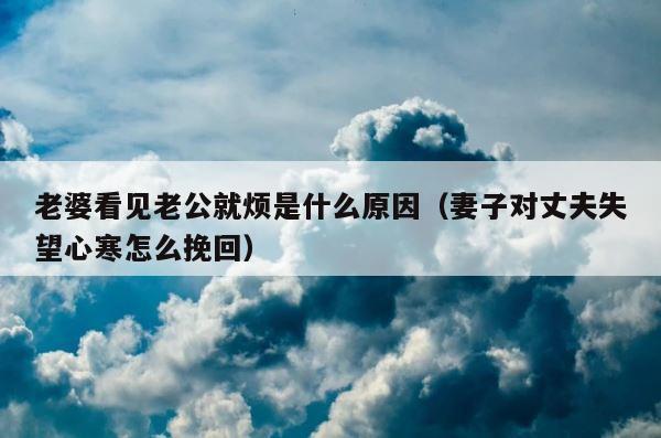 老婆看见老公就烦是什么原因（妻子对丈夫失望心寒怎么挽回） 第1张