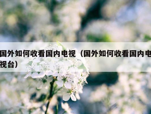国外如何收看国内电视（国外如何收看国内电视台） 第1张