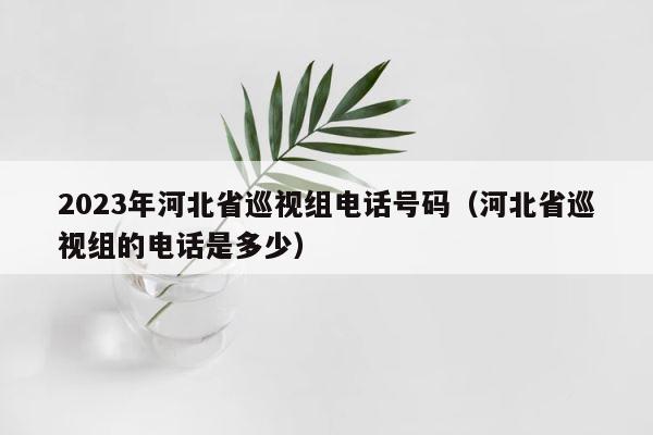 2023年河北省巡视组电话号码（河北省巡视组的电话是多少） 第1张