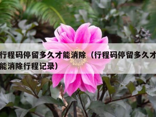 行程码停留多久才能消除（行程码停留多久才能消除行程记录） 第1张