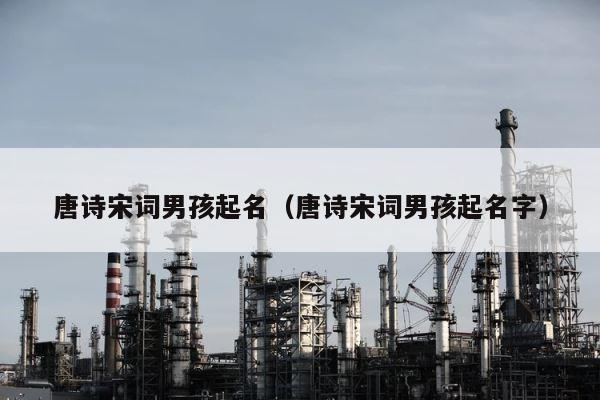 唐诗宋词男孩起名（唐诗宋词男孩起名字） 第1张