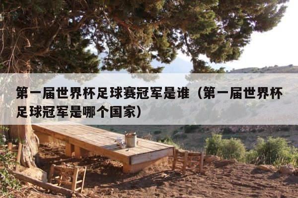 第一届世界杯足球赛冠军是谁（第一届世界杯足球冠军是哪个国家） 第1张