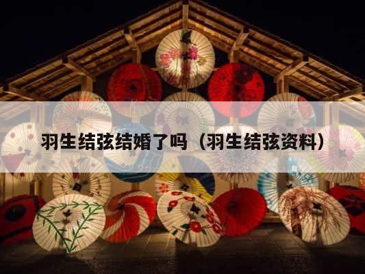 羽生结弦结婚了吗（羽生结弦资料） 第1张