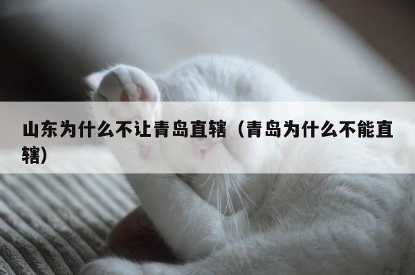 山东为什么不让青岛直辖（青岛为什么不能直辖） 第1张