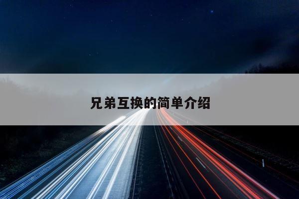 兄弟互换的简单介绍 第1张