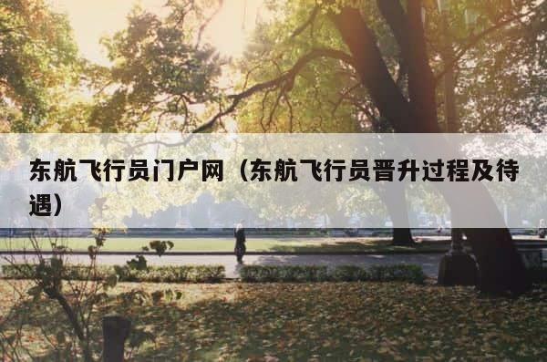 东航飞行员门户网（东航飞行员晋升过程及待遇） 第1张