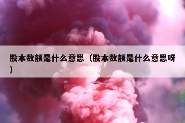 股本数额是什么意思（股本数额是什么意思呀） 第1张