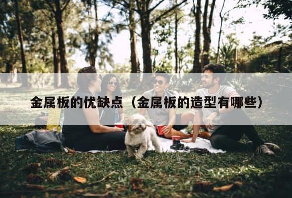 金属板的优缺点（金属板的造型有哪些） 第1张