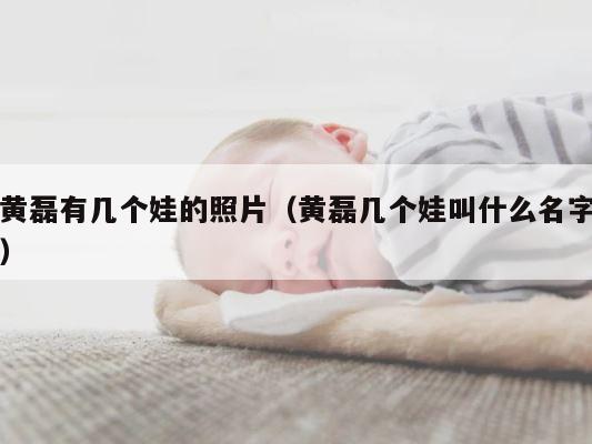 黄磊有几个娃的照片（黄磊几个娃叫什么名字） 第1张