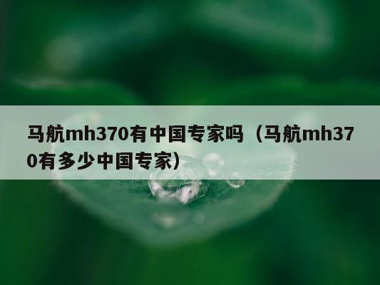马航mh370有中国专家吗（马航mh370有多少中国专家） 第1张