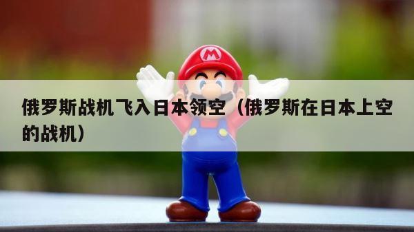 俄罗斯战机飞入日本领空（俄罗斯在日本上空的战机） 第1张