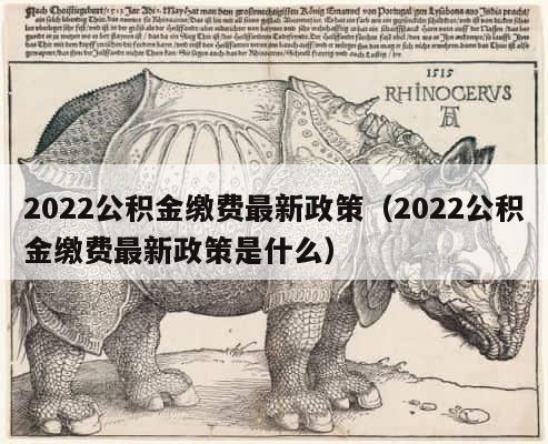 2022公积金缴费最新政策（2022公积金缴费最新政策是什么） 第1张