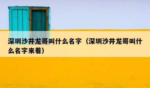 深圳沙井龙哥叫什么名字（深圳沙井龙哥叫什么名字来着） 第1张