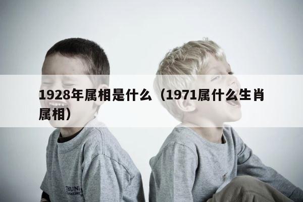 1928年属相是什么（1971属什么生肖属相） 第1张
