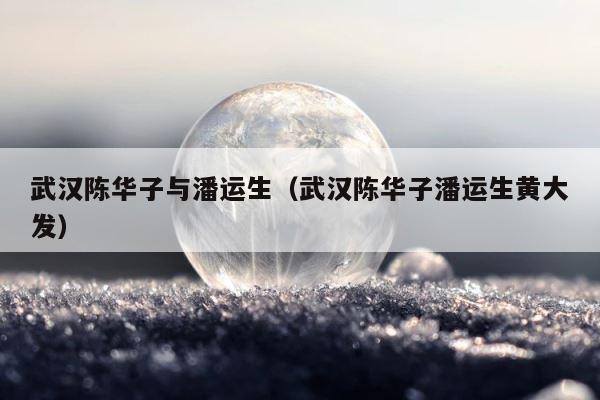 武汉陈华子与潘运生（武汉陈华子潘运生黄大发） 第1张