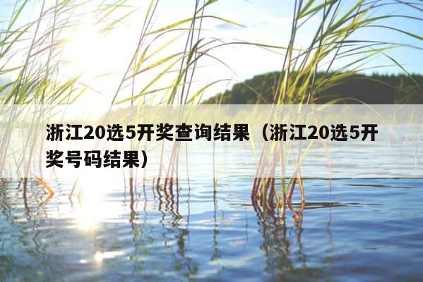 浙江20选5开奖查询结果（浙江20选5开奖号码结果） 第1张