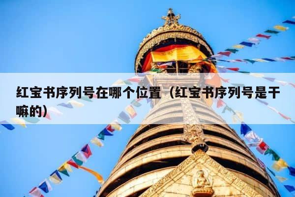 红宝书序列号在哪个位置（红宝书序列号是干嘛的） 第1张