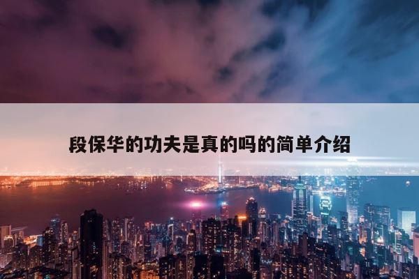 段保华的功夫是真的吗的简单介绍 第1张