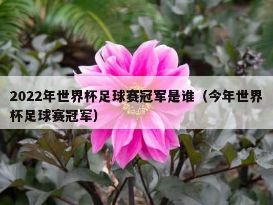 2022年世界杯足球赛冠军是谁（今年世界杯足球赛冠军） 第1张