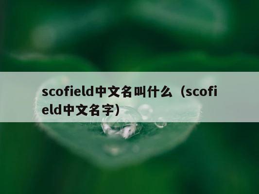 scofield中文名叫什么（scofield中文名字） 第1张