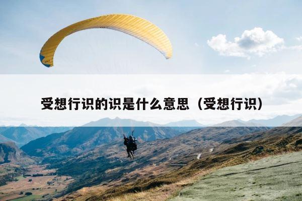 受想行识的识是什么意思（受想行识） 第1张