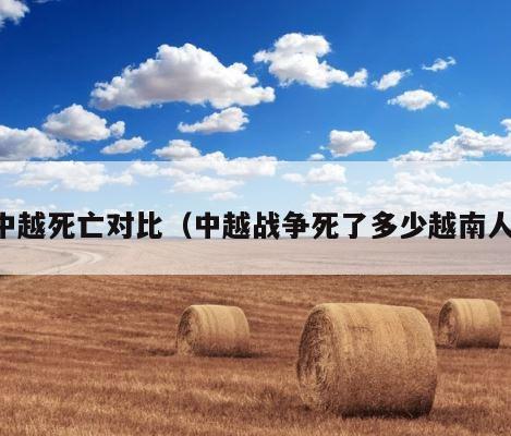 中越死亡对比（中越战争死了多少越南人） 第1张