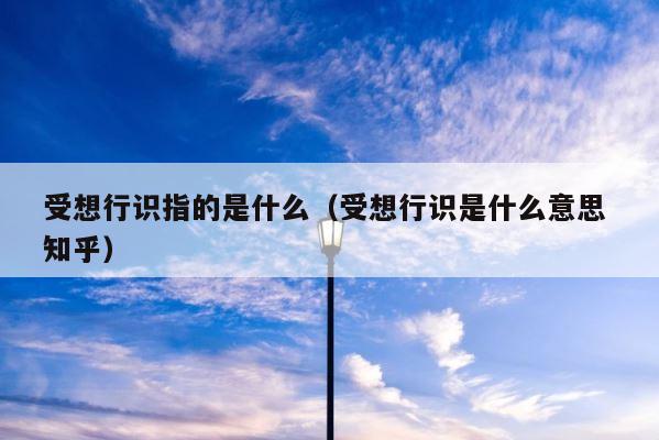 受想行识指的是什么（受想行识是什么意思 知乎） 第1张