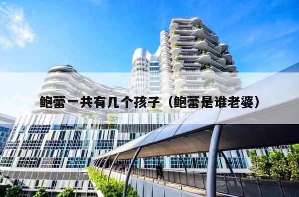 鲍蕾一共有几个孩子（鲍蕾是谁老婆） 第1张