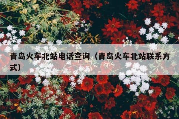 青岛火车北站电话查询（青岛火车北站联系方式） 第1张