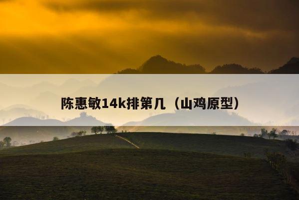 陈惠敏14k排第几（山鸡原型） 第1张