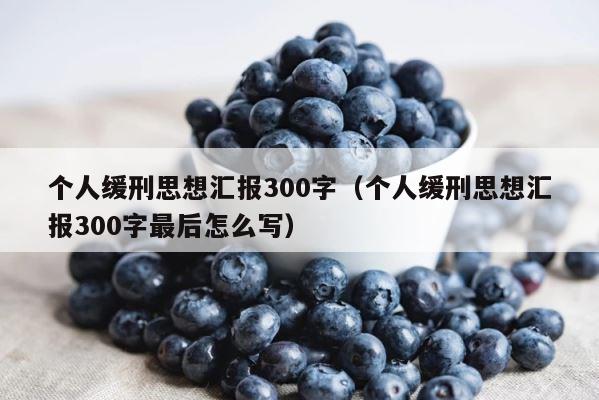个人缓刑思想汇报300字（个人缓刑思想汇报300字最后怎么写） 第1张