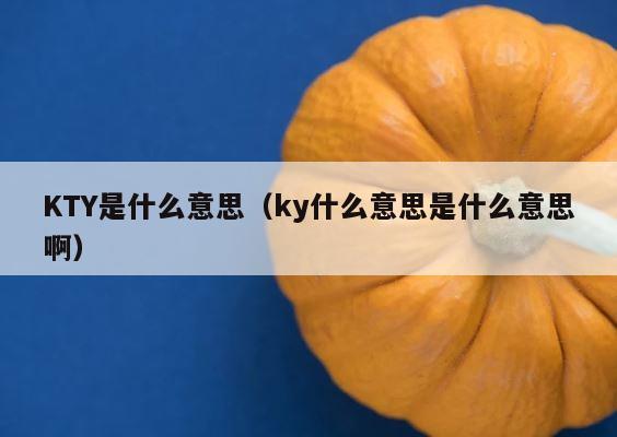 KTY是什么意思（ky什么意思是什么意思啊） 第1张