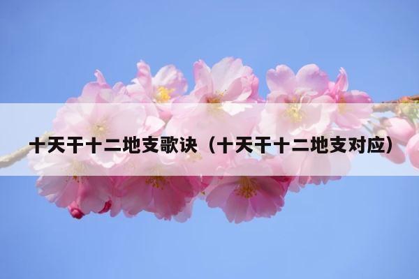 十天干十二地支歌诀（十天干十二地支对应） 第1张