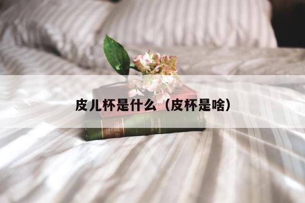 皮儿杯是什么（皮杯是啥） 第1张