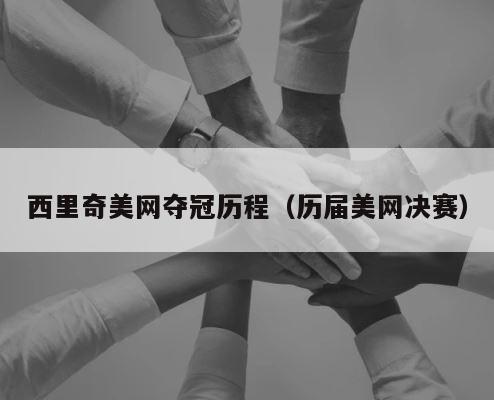 西里奇美网夺冠历程（历届美网决赛） 第1张