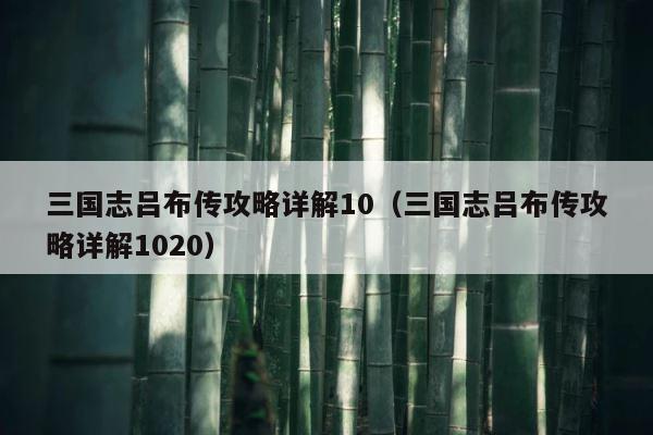 三国志吕布传攻略详解10（三国志吕布传攻略详解1020） 第1张