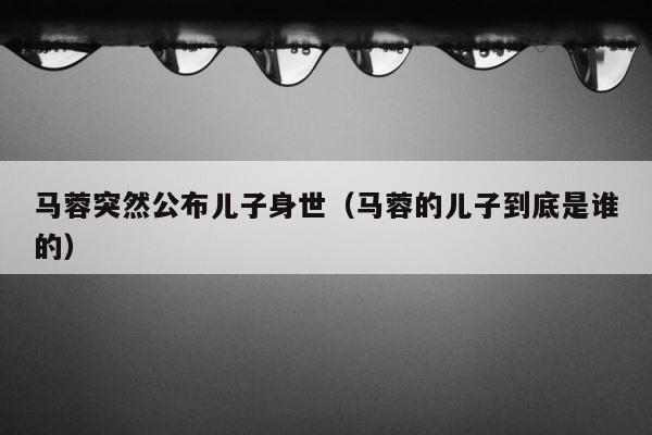 马蓉突然公布儿子身世（马蓉的儿子到底是谁的） 第1张