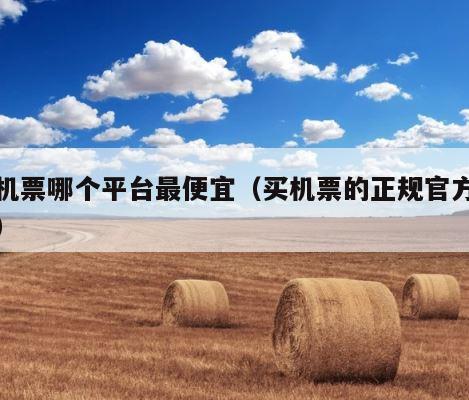 订机票哪个平台最便宜（买机票的正规官方网站） 第1张